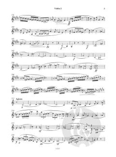 Metamorphosen von Richard Strauss 