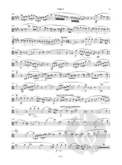 Metamorphosen von Richard Strauss 