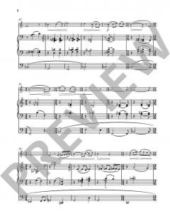 Our Lady's Minstrel von Naji Hakim 