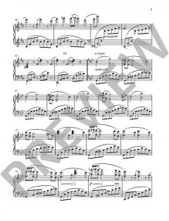 Istanbul'da Kis Sabah op. 51c von Fazil Say 