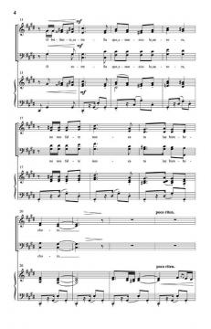 De Tierra Lejana Venimos 