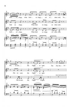 What Bird So Sings von Carl Ashley 