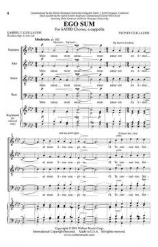 Ego Sum von Sydney Guillaume 