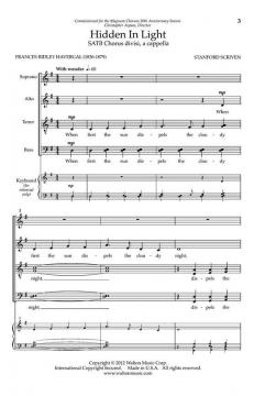 Hidden in Light von Stanford Scriven 