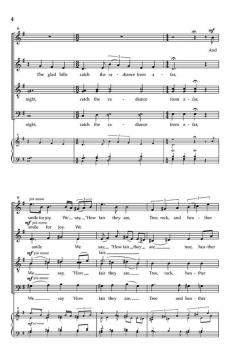 Hidden in Light von Stanford Scriven 