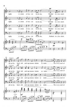 Music In The Night von David C. Dickau 