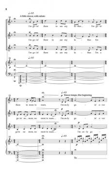 Poor Wayfaring Stranger von Jonathan Rodgers 