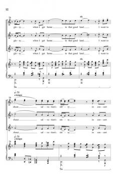 Poor Wayfaring Stranger von Jonathan Rodgers 