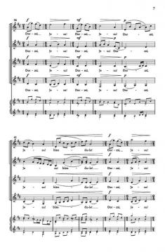 Dormi Jesu von Ivo Antognini 