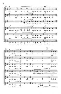 Canticum Novum von Ivo Antognini 