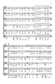 Canticum Novum von Ivo Antognini 