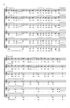 Canticum Novum von Ivo Antognini 