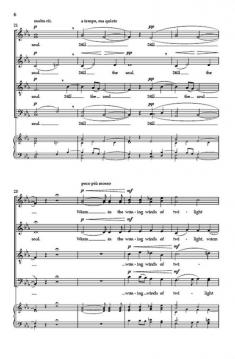 Serenity von Daniel Elder 