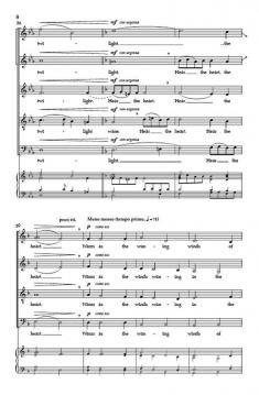 Serenity von Daniel Elder 