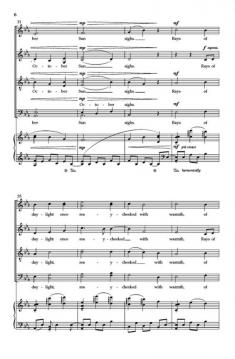 October Sun von Daniel Elder 