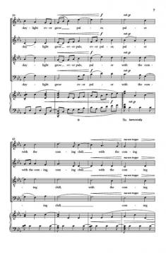 October Sun von Daniel Elder 