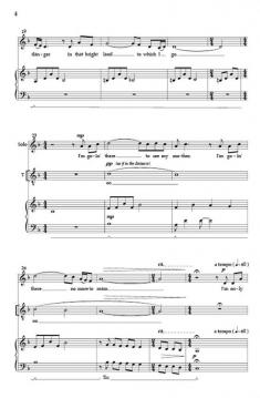 Wayfaring Stranger von Jonathan Rodgers 