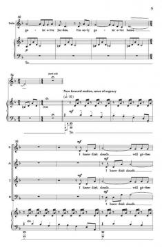 Wayfaring Stranger von Jonathan Rodgers 