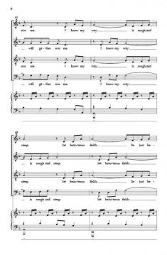 Wayfaring Stranger von Jonathan Rodgers 