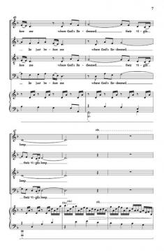 Wayfaring Stranger von Jonathan Rodgers 