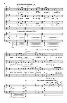 Wayfaring Stranger von Jonathan Rodgers 