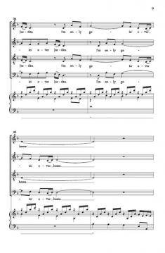 Wayfaring Stranger von Jonathan Rodgers 