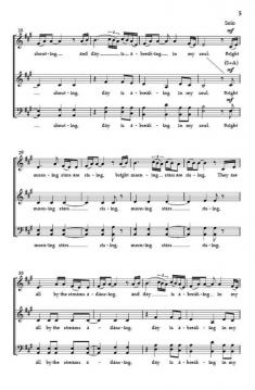 Bright Morning Stars 