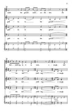 More Than Enough von Wendell Berry 