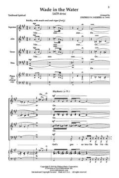 Wade in the Water von Stephen M. Murphy 