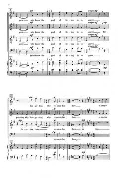 In time of Daffodils von David C. Dickau 