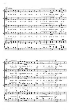 Sero te Amavi von Kurt Knecht 