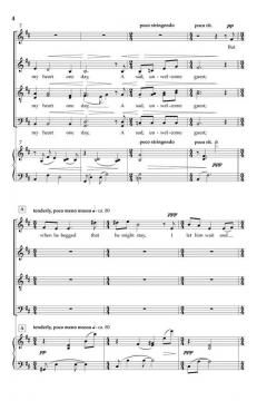 The Wayfarer von Seth Houston 