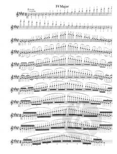 The Violinist’s Daily Warm-Ups and Scale System von Roland Vamos im Alle Noten Shop kaufen