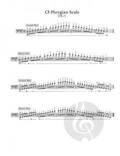 60 Melodic Etudes von John Patitucci 