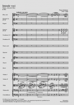 Intende voci D963 von Franz Schubert 