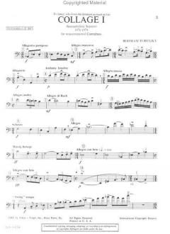 Collage 1 von Bertram Turetzky 