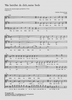 Wenn wir in höchsten Nöten sein von Johann Hermann Schein (Download) 