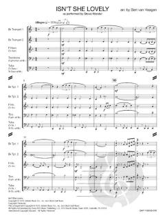 Isn't She Lovely? von Stevie Wonder 