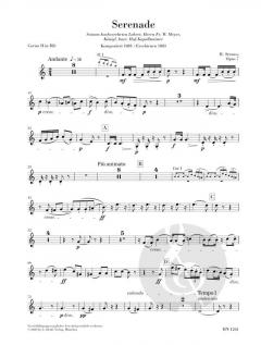 Bläserserenade Es-dur op. 7 von Richard Strauss 