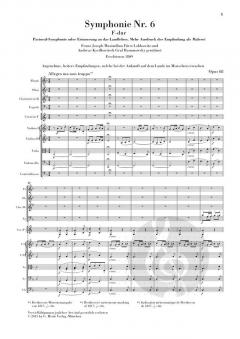 Die Symphonien von Ludwig van Beethoven 