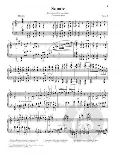 Sonaten, Scherzo und Balladen von Johannes Brahms 