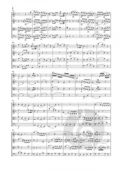 Streichquartette 2: Frühe Wiener Quartette von Wolfgang Amadeus Mozart im Alle Noten Shop kaufen