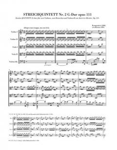 Streichquintette und Klarinettenquintett von Johannes Brahms 