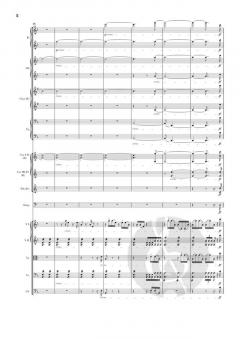 Symphonie Nr. 9 d-moll op. 125 von Ludwig van Beethoven 