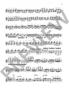 Aria e cadenza von Krzystof Penderecki 