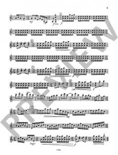 Jaro se Otvírá von Zdenek Lukás 