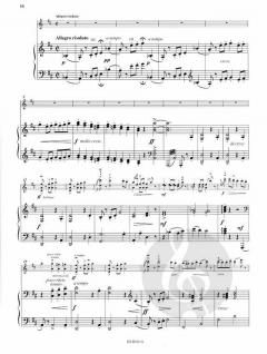 Schüler-Konzert Nr. 6 D-Dur op. 50 von Friedrich Seitz 