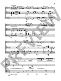 Fantasia von Naji Hakim 