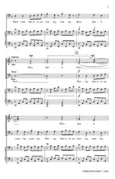 Whirlwind Spirit von Joel Raney 