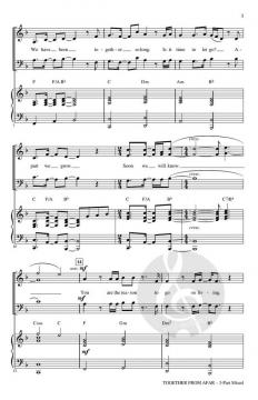 Together From Afar von Jon Thor Birgisson 